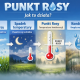 Punkt Rosy | Radość Programowania
